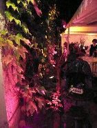 Décoration de Mariage